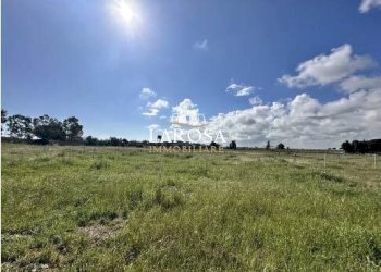 4.jpg - Agricultural land SP145 6, Melendugno - photo 4