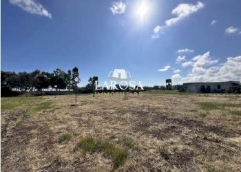 5.jpg - Agricultural land SP145 6, Melendugno - photo 5