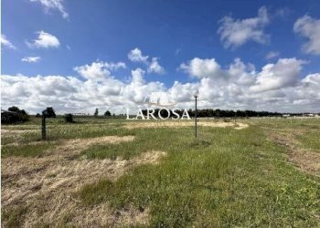 7.jpg - Agricultural land SP145 6, Melendugno - photo 7