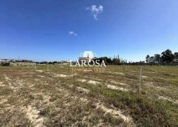 8.jpg - Agricultural land SP145 6, Melendugno - photo 8