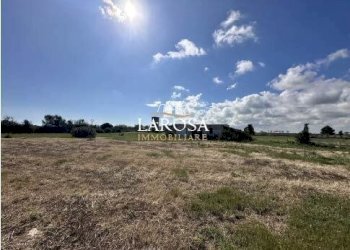 9.jpg - Agricultural land SP145 6, Melendugno - photo 9