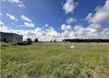 12.jpg - Agricultural land SP145 6, Melendugno - photo 12