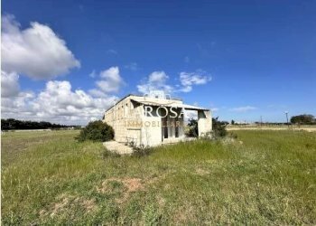 13.jpg - Agricultural land SP145 6, Melendugno - photo 13