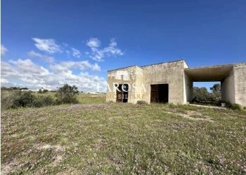 17.jpg - Agricultural land SP145 6, Melendugno - photo 17