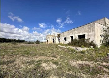 18.jpg - Agricultural land SP145 6, Melendugno - photo 18