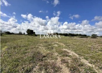 19.jpg - Agricultural land SP145 6, Melendugno - photo 19