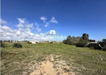 21.jpg - Agricultural land SP145 6, Melendugno - photo 21