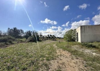 22.jpg - Agricultural land SP145 6, Melendugno - photo 22