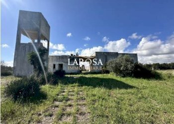 23.jpg - Agricultural land SP145 6, Melendugno - photo 23