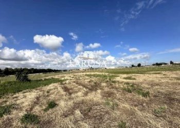 25.jpg - Agricultural land SP145 6, Melendugno - photo 25