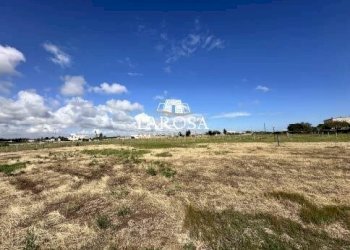 26.jpg - Agricultural land SP145 6, Melendugno - photo 26