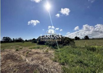 27.jpg - Agricultural land SP145 6, Melendugno - photo 27