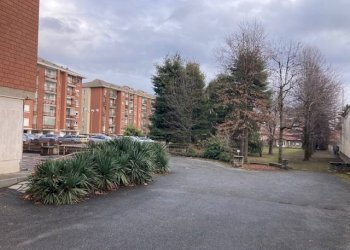 Quadrilocale Pinerolo - foto 3