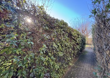 Townhouse Bologna (neighborhood Costa Saragozza) - photo 56