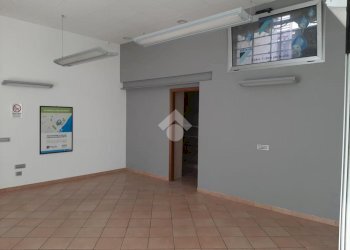 Negozio Via Argine Ducale Via Argine Ducale, Ferrara - foto 6