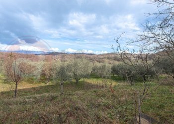 Foto 52 - Independent house Via Campo Del Fico
 
snc, Santopadre - photo 52