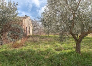 Foto 53 - Independent house Via Campo Del Fico
 
snc, Santopadre - photo 53
