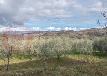 Foto 62 - Independent house Via Campo Del Fico
 
snc, Santopadre - photo 62