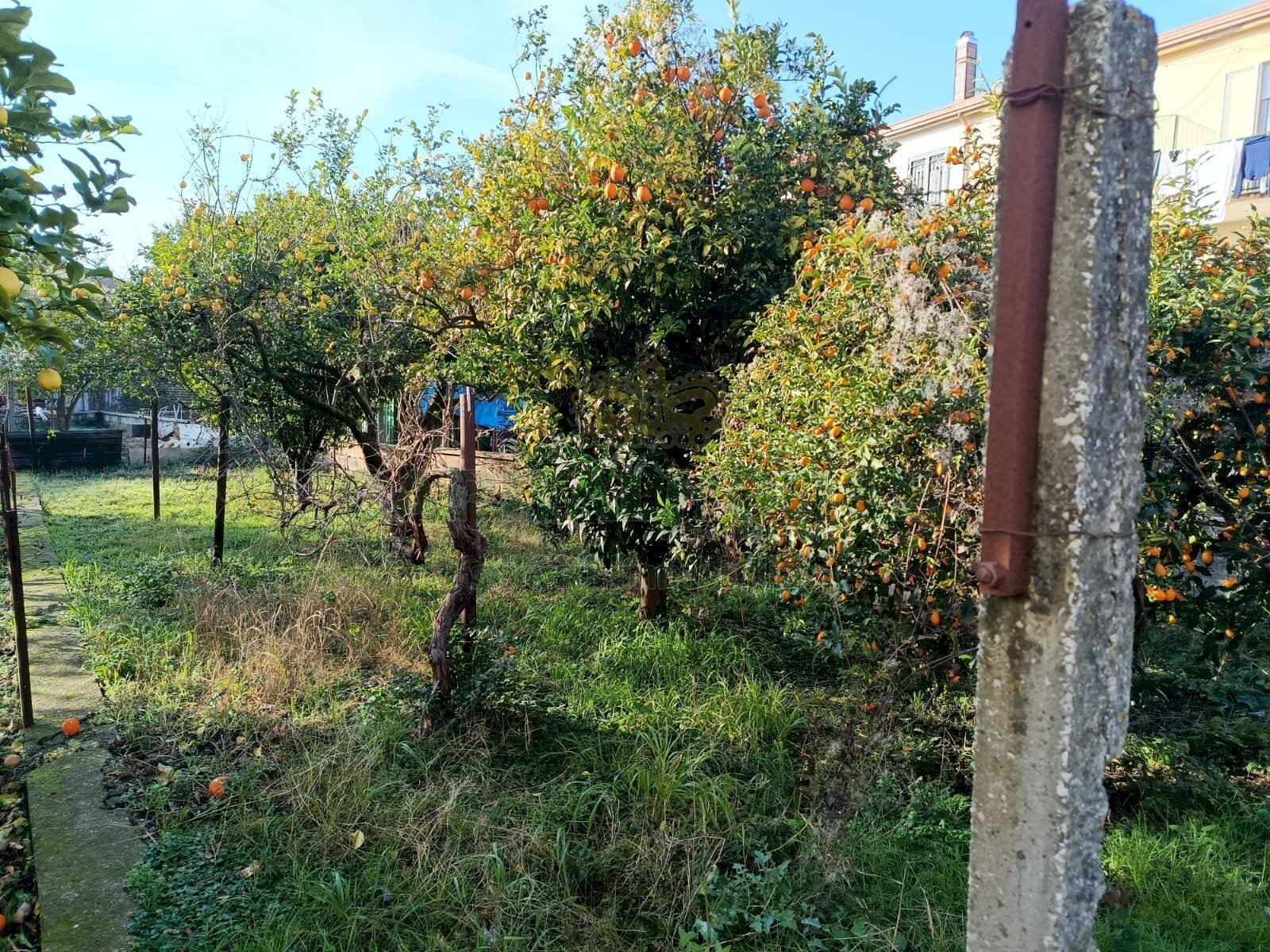 Foto 1 - Appartamento via appia, Caserta - foto 1