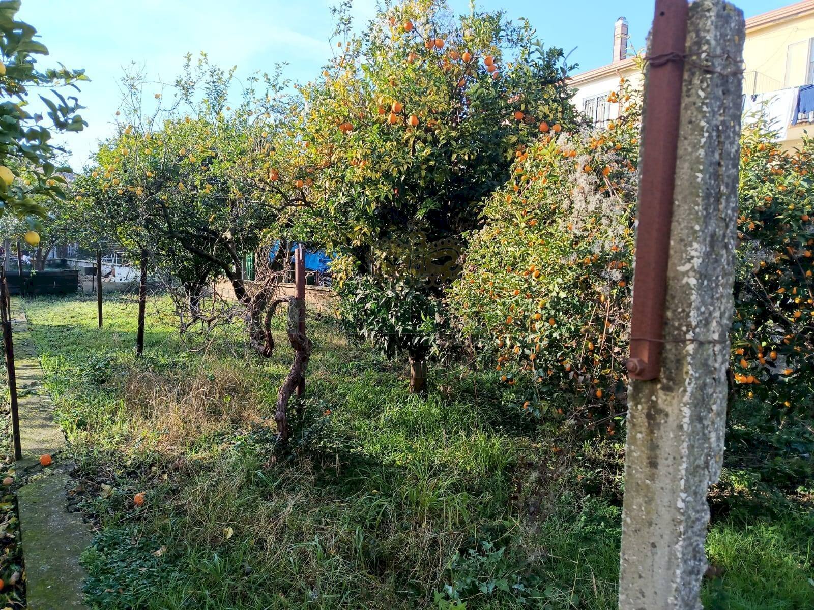 Foto 3 - Appartamento via appia, Caserta - foto 3