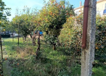 Foto 1 - Appartamento via appia, Caserta - foto 1