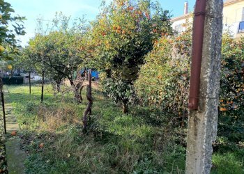 Foto 3 - Appartamento via appia, Caserta - foto 3