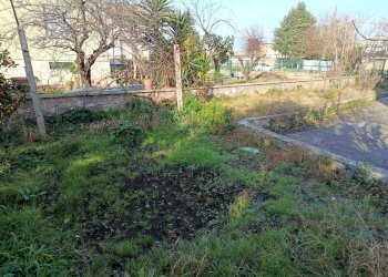 Foto 9 - Appartamento via appia, Caserta - foto 9