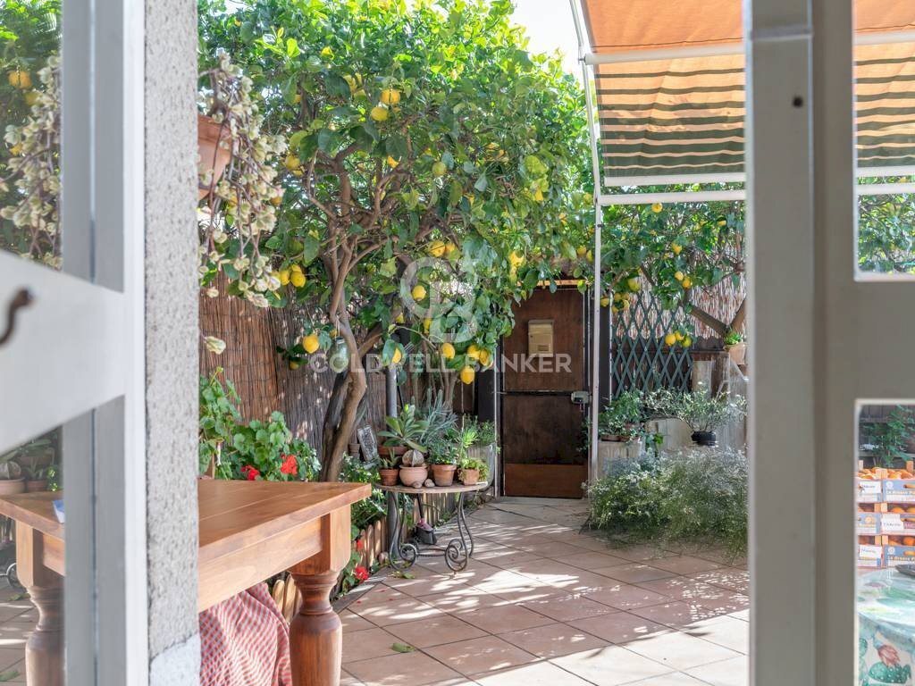 Foto 1 - Bilocale Via delle Magnolie
 
60, Santa Marinella - foto 1