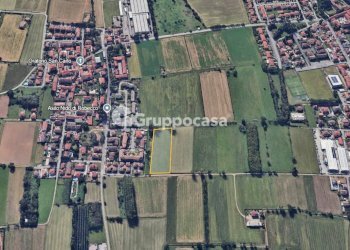 Foto 15 - Terreno agricolo Via Palestro, Robecco sul Naviglio - foto 15