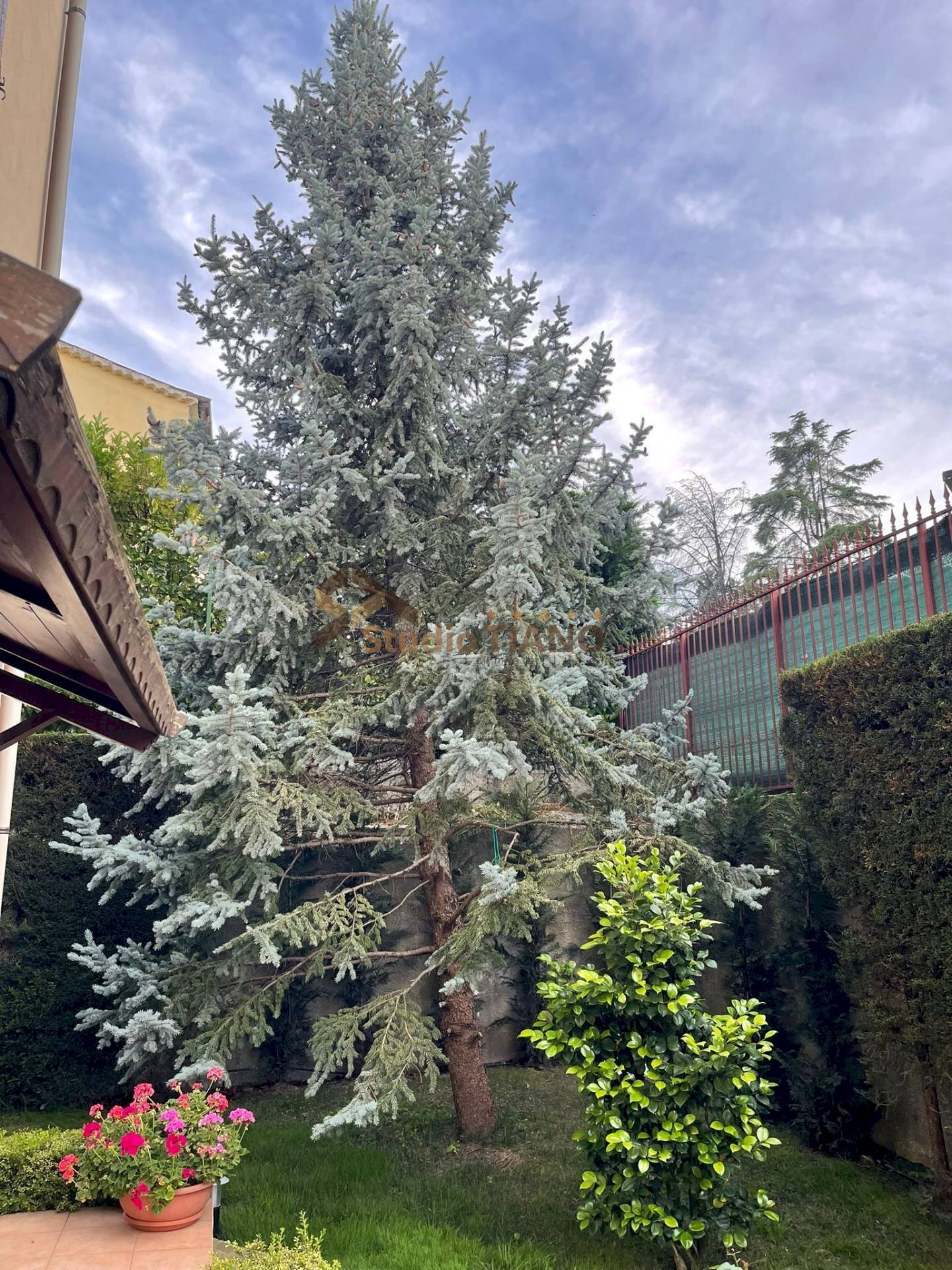 Foto 3 - Appartamento VIA FALCONE E BORSELLINO
 
21, Marano Principato - foto 3