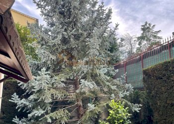 Foto 3 - Appartamento VIA FALCONE E BORSELLINO
 
21, Marano Principato - foto 3