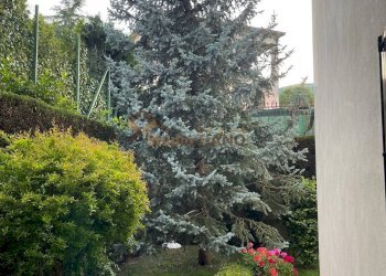 Foto 4 - Appartamento VIA FALCONE E BORSELLINO
 
21, Marano Principato - foto 4