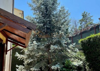 Foto 47 - Appartamento VIA FALCONE E BORSELLINO
 
21, Marano Principato - foto 47