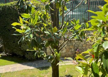 Foto 48 - Appartamento VIA FALCONE E BORSELLINO
 
21, Marano Principato - foto 48