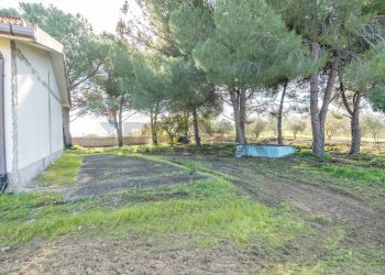 Giardino - Casa indipendente via Canonica
 
snc, Mazzarrone - foto 14