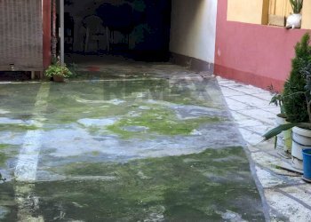 Giardino - Bilocale via genova
 
39, Misterbianco - foto 8