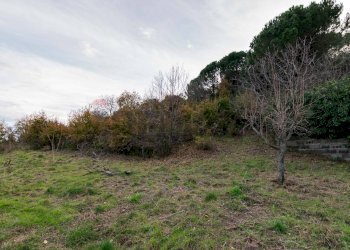 Giardino - Villa Via Cosenza
 
Snc, Trecastagni - foto 13