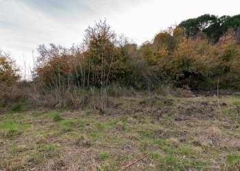 Giardino - Villa Via Cosenza
 
Snc, Trecastagni - foto 15