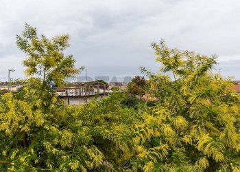 Giardino - Trilocale Via delle Ciliegie
 
21, San Giovanni la Punta - foto 25