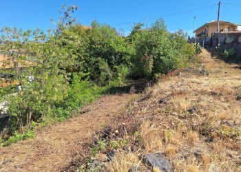 Giardino - Terreno edificabile Via Catanzaro
snc, Mascalucia - foto 4