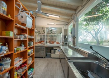 Cucina - Attività Commerciale Via Gesù
 
11, Scicli - foto 30