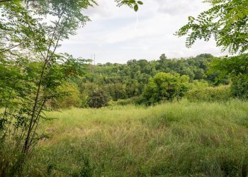 Giardino - Rustico Bucine - foto 37