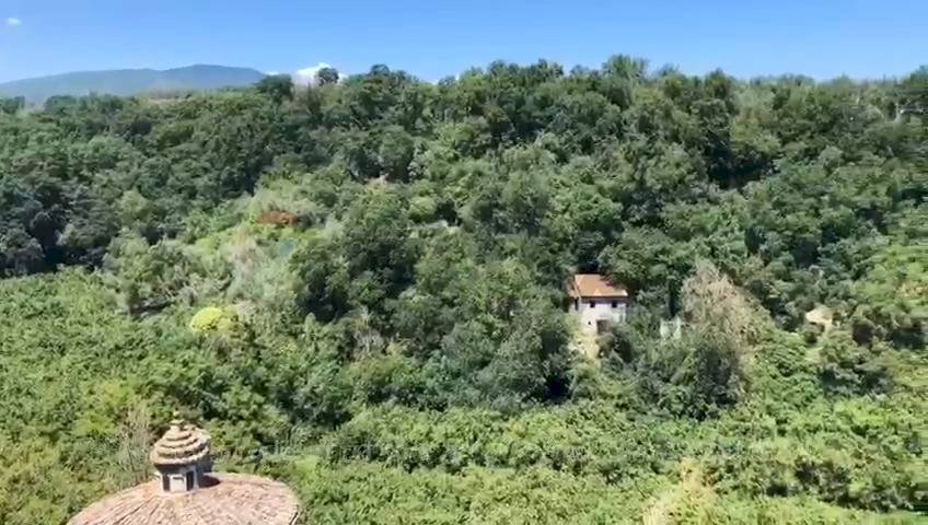 Giardino - Casa semi indipendente corso Giuseppe Garibaldi
 
snc, Vignanello - foto 3