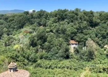 Giardino - Casa semi indipendente corso Giuseppe Garibaldi
 
snc, Vignanello - foto 3