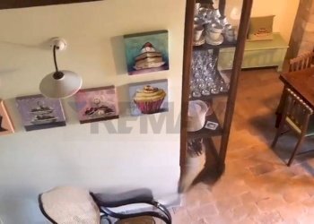 Dettagli - Casa semi indipendente corso Giuseppe Garibaldi
 
snc, Vignanello - foto 8