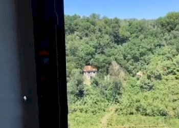 Dettagli - Casa semi indipendente corso Giuseppe Garibaldi
 
snc, Vignanello - foto 28