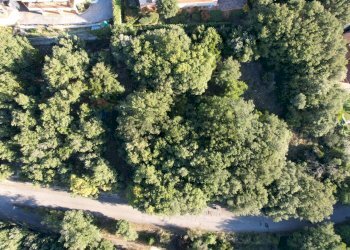 Giardino - Terreno edificabile conca del sole, Corciano - foto 12