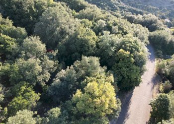 Vista delle montagne - Terreno edificabile conca del sole, Corciano - foto 17