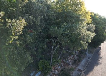 Non correlato - Terreno edificabile conca del sole, Corciano - foto 18