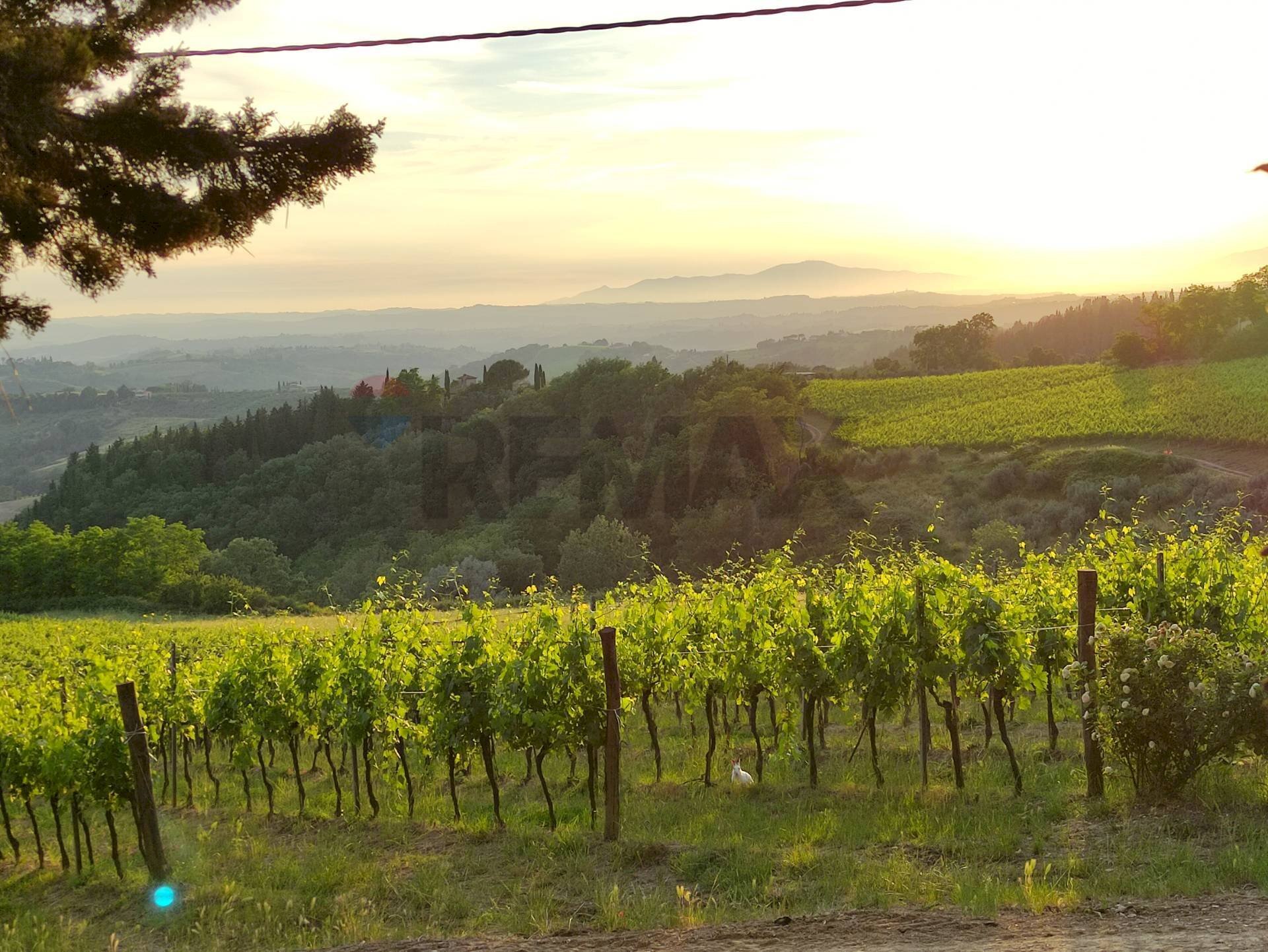 Vista delle montagne - Villa Montespertoli - foto 3